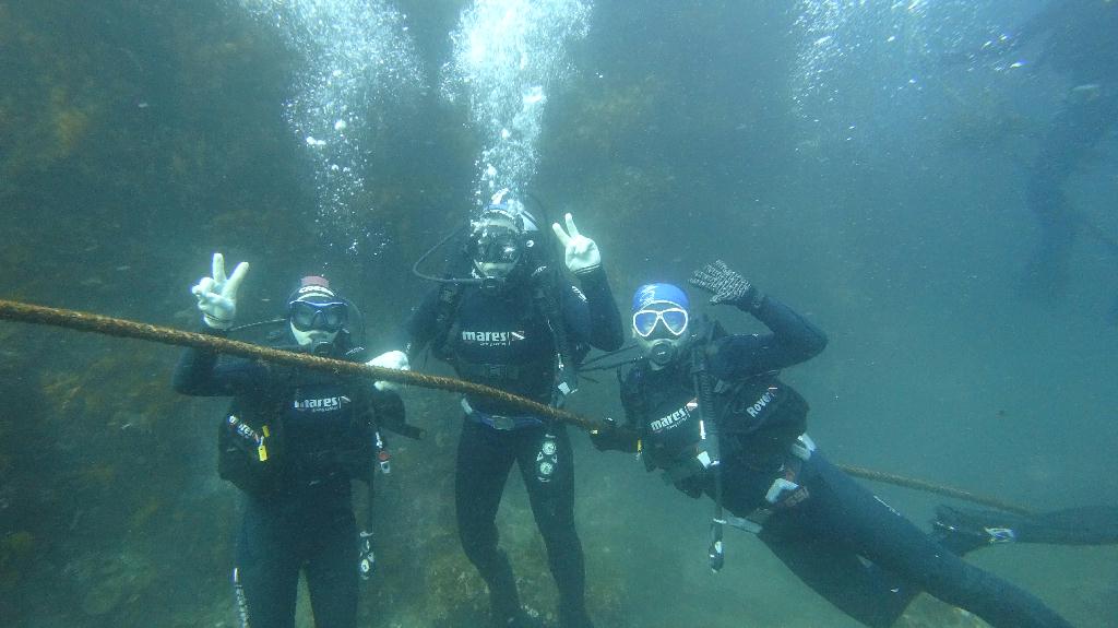 Fun diving - 서귀포 - 새끼섬