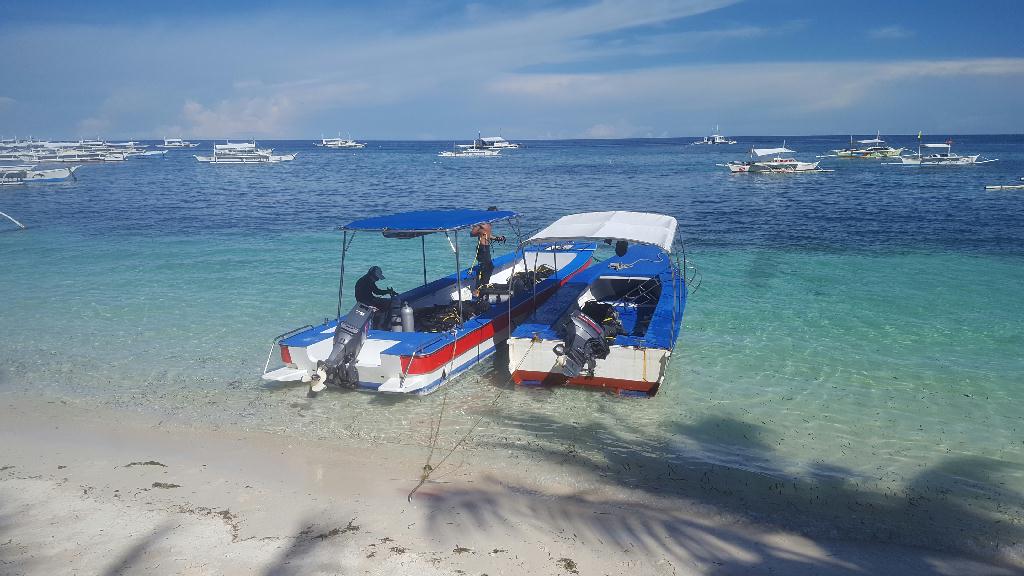 보홀 직항 기념 다이빙 - BOHOL Blue Water Resort - House Reef.