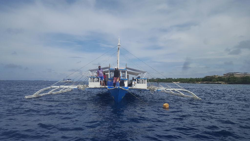 발리카삭 섬 주변 다이빙 - BOHOL Blue Water Resort - BALICASAG Black Forest