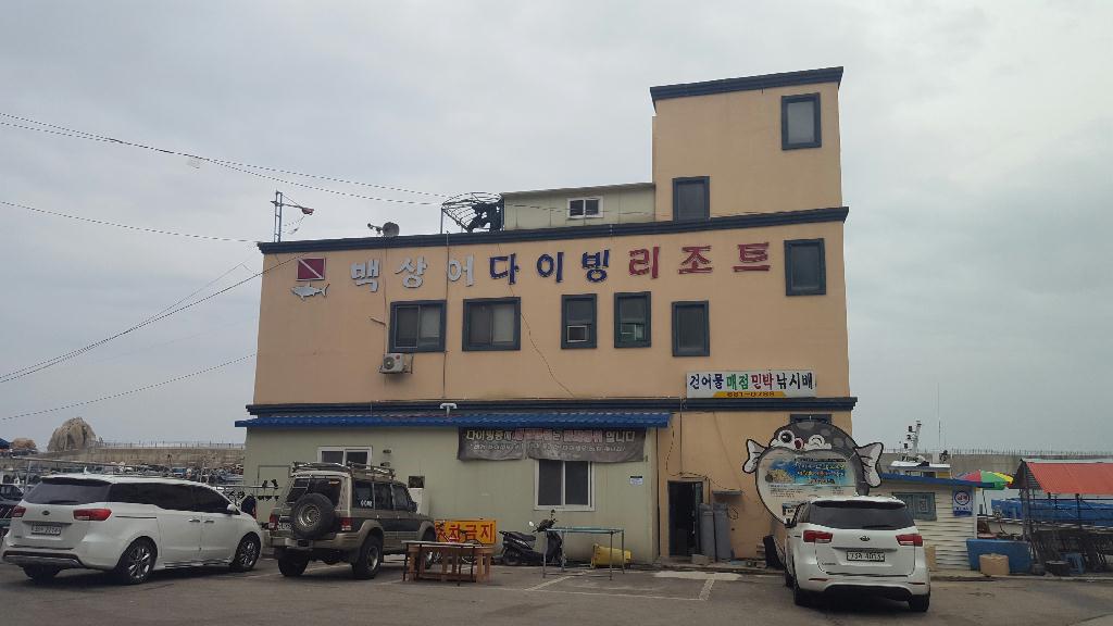 고성 백상어 리조트 포인트 다이빙 - 고성 백상어 리조트 - 사곰바위