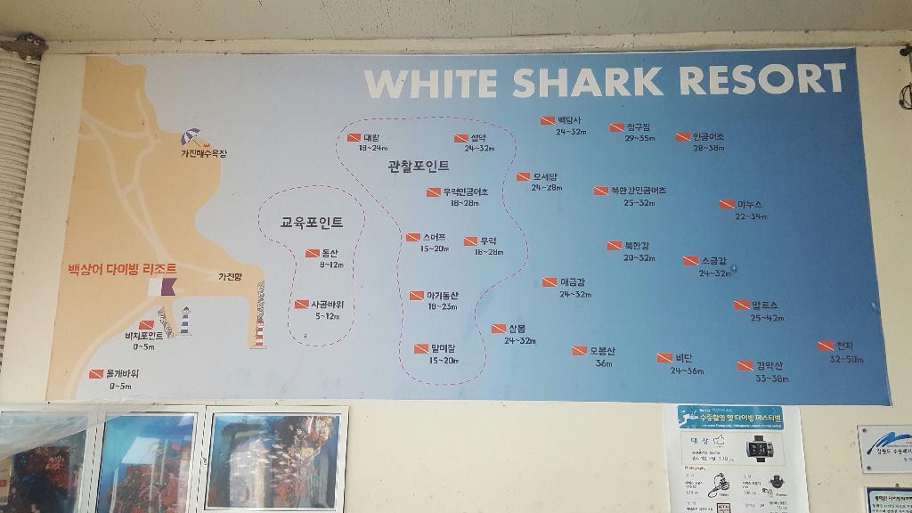 고성 백상어 다이브 리조트 포인트 다이빙 - 고성 백상어 리조트 - 아기동산