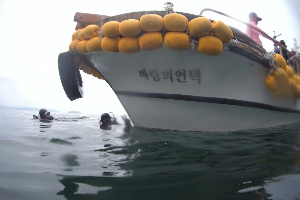 시찰 - 도장포