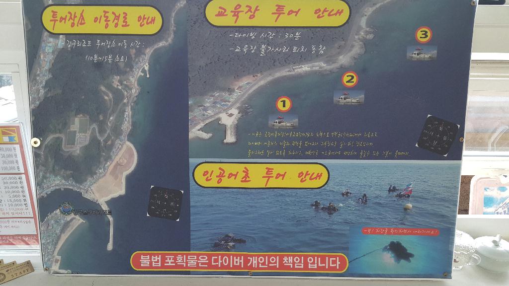 경북 강구항 - 교육, 자연짬 1번