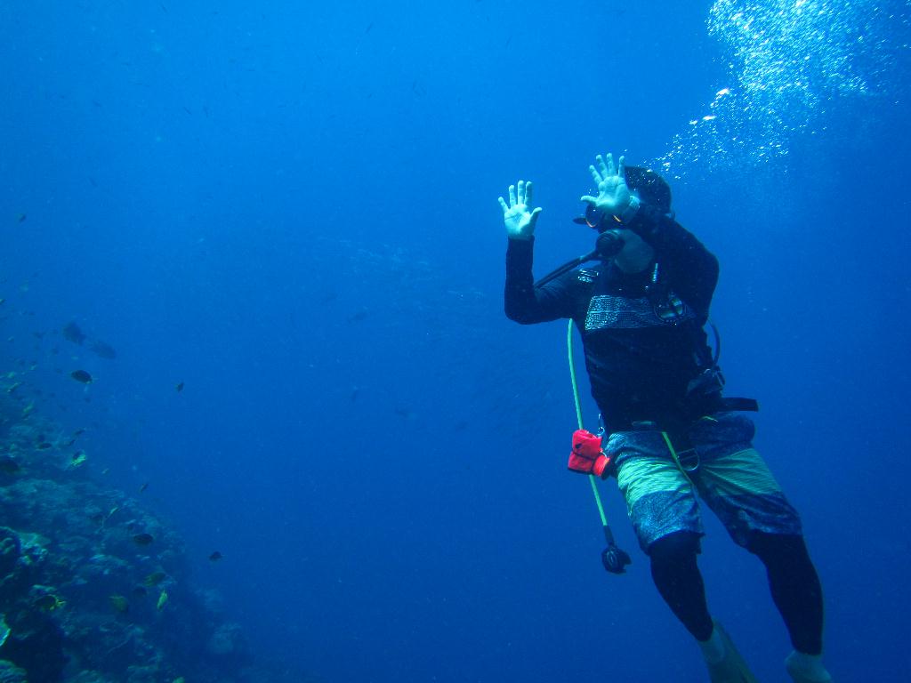 Mactan, Philippines - NALUSUAN POINT Stingray