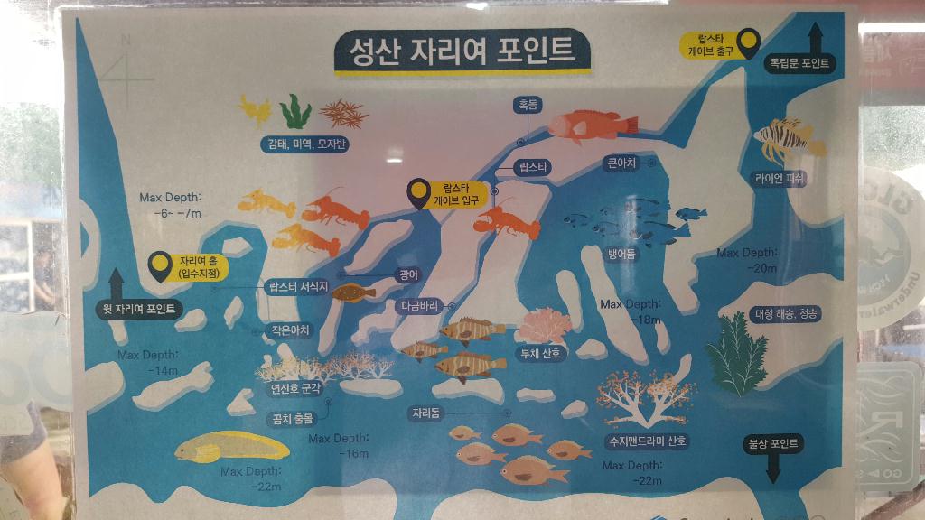 펀다이빙 4차 - 제주 성산일출봉 - 자리여 포인트