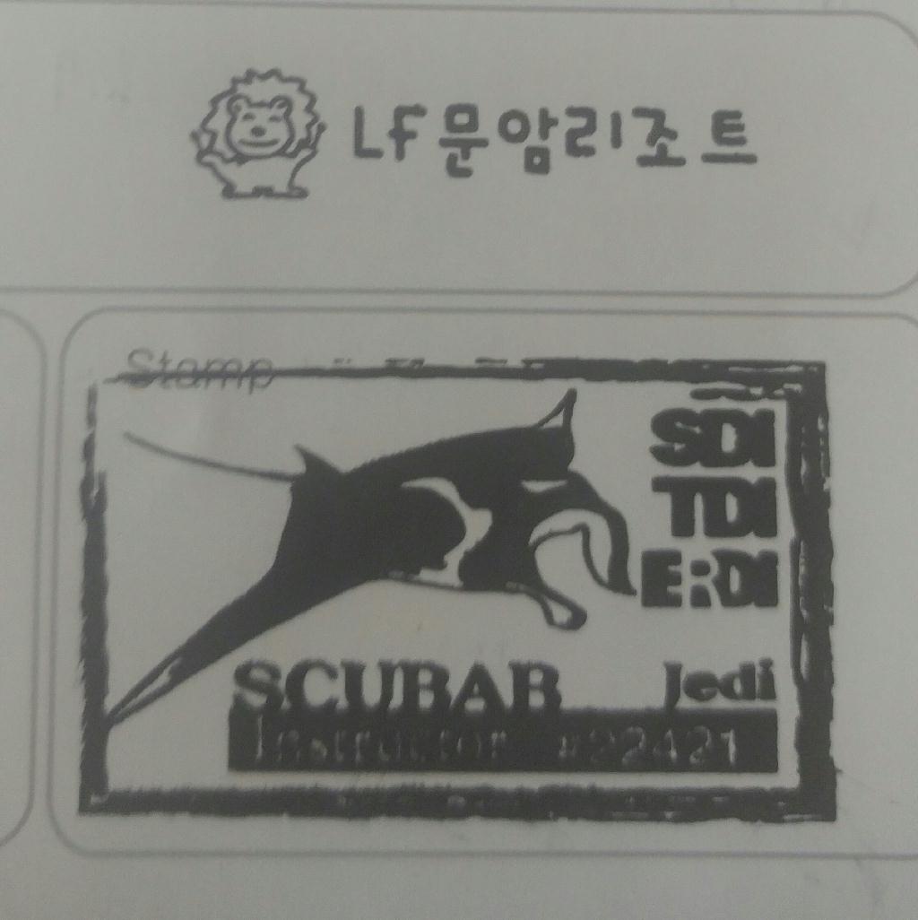 첫 해양실습 - LF문암리조트 - 문암비치