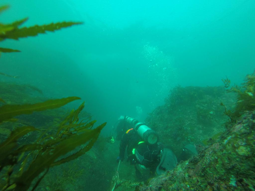 동호회 펀 다이빙 - 제주도 - 동부 방파제