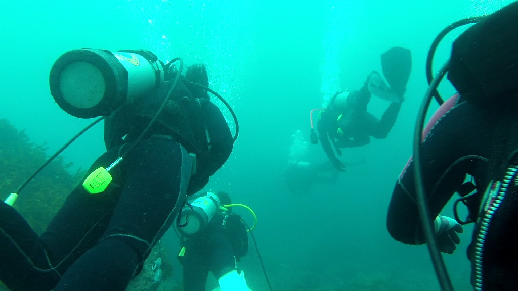 동호회 펀 다이빙 - 제주도 - 동부 방파제