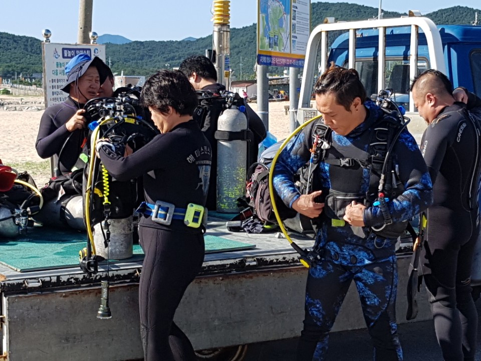 거진 다이빙리조트