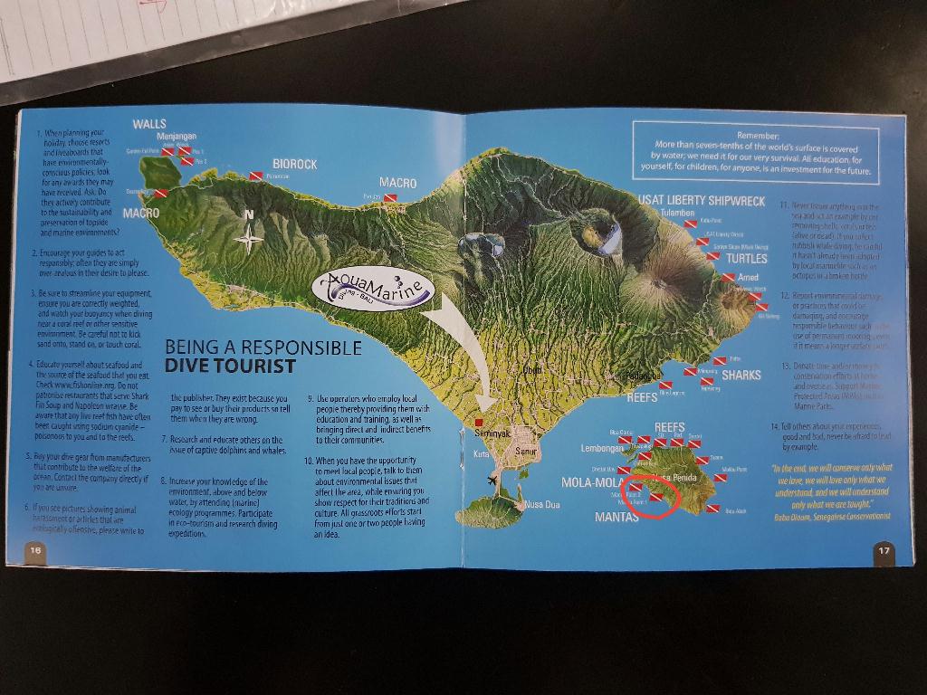 Indonesia, Bali, Nusa penida - Manta Point