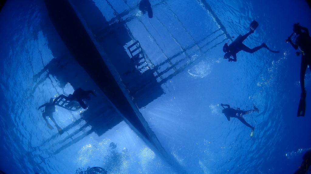 해송  - Bohol - Whale shark point