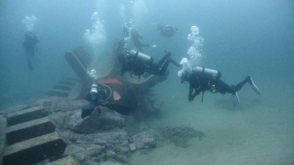 양양 오산다이브 - 고래눈어초