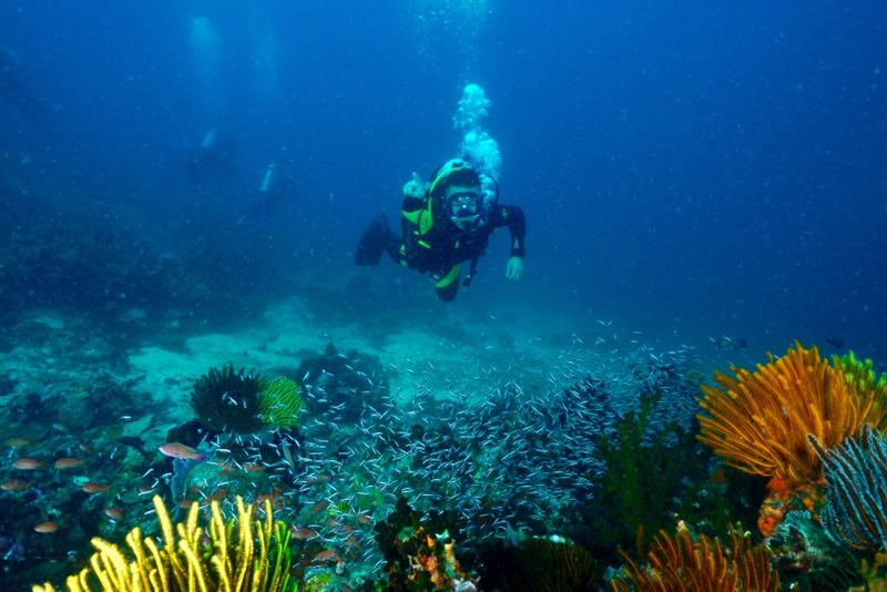 菲律宾 - 阿尼洛