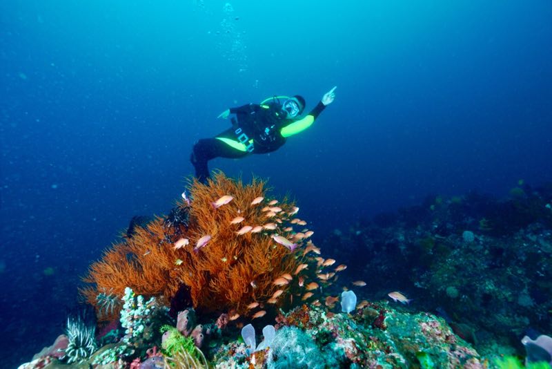 菲律宾 - 阿尼洛