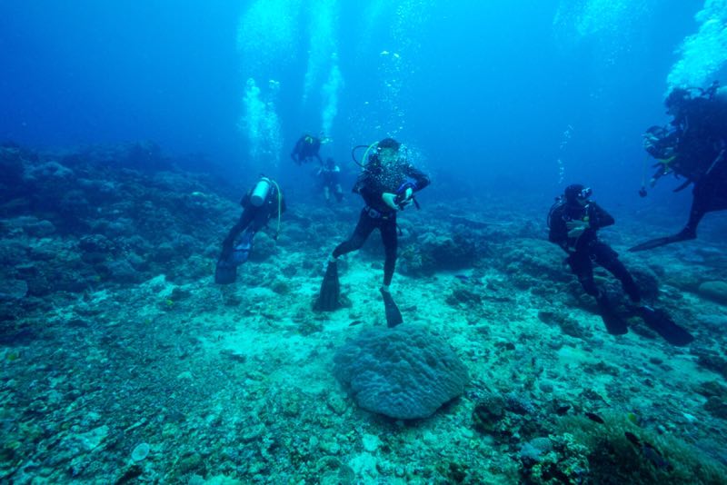 菲律宾 - 阿尼洛