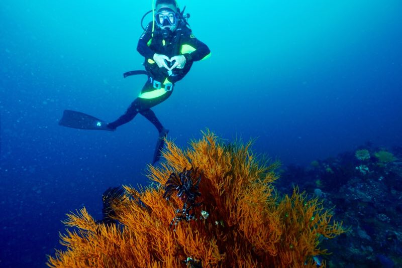 菲律宾 - 阿尼洛