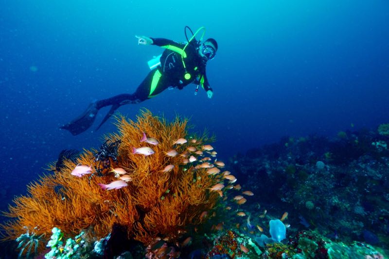 菲律宾 - 阿尼洛