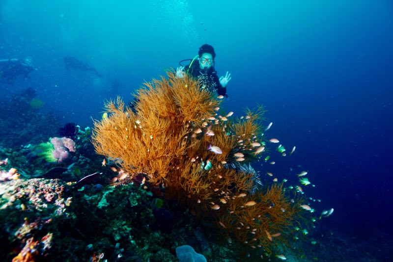 菲律宾 - 阿尼洛