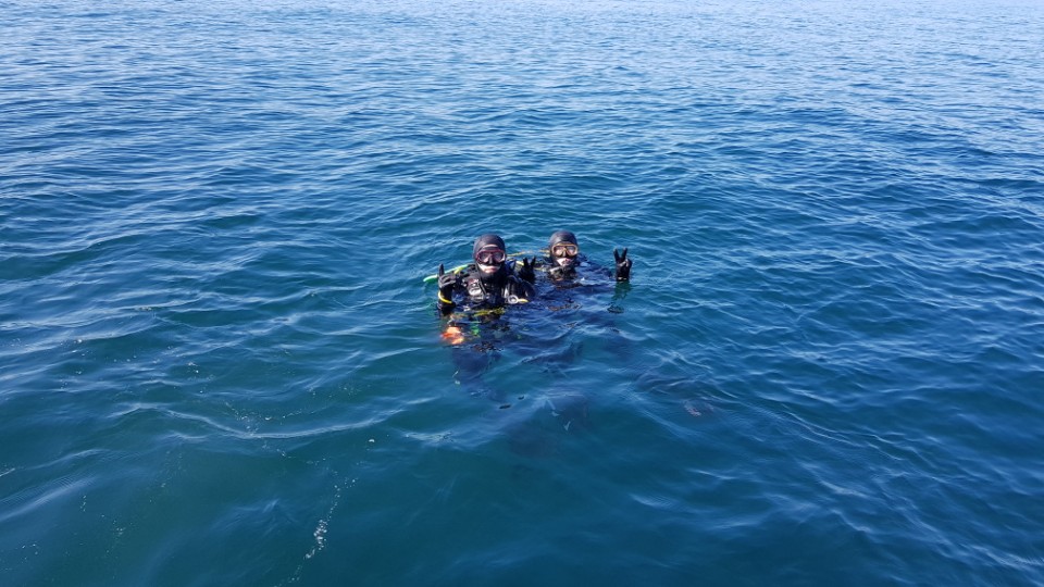 아라스쿠버클럽 