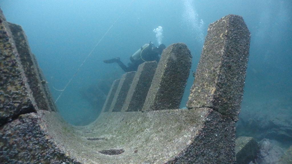 양양 오산다이브 - 고래눈어초
