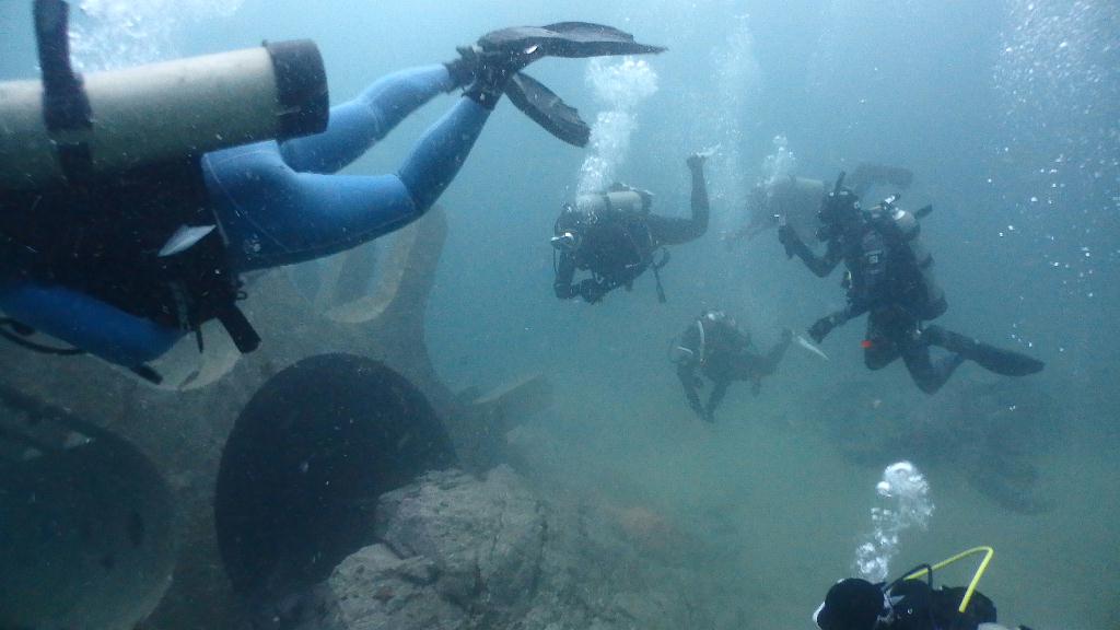 양양 오산다이브 - 고래눈어초