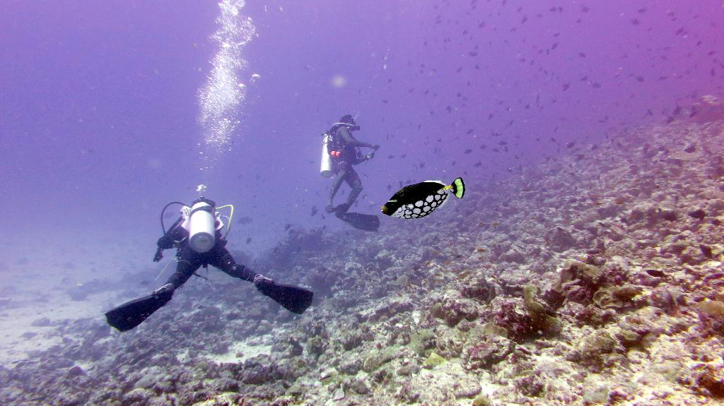 馬爾代夫 NORTH MALE - BODU HITHI THILA