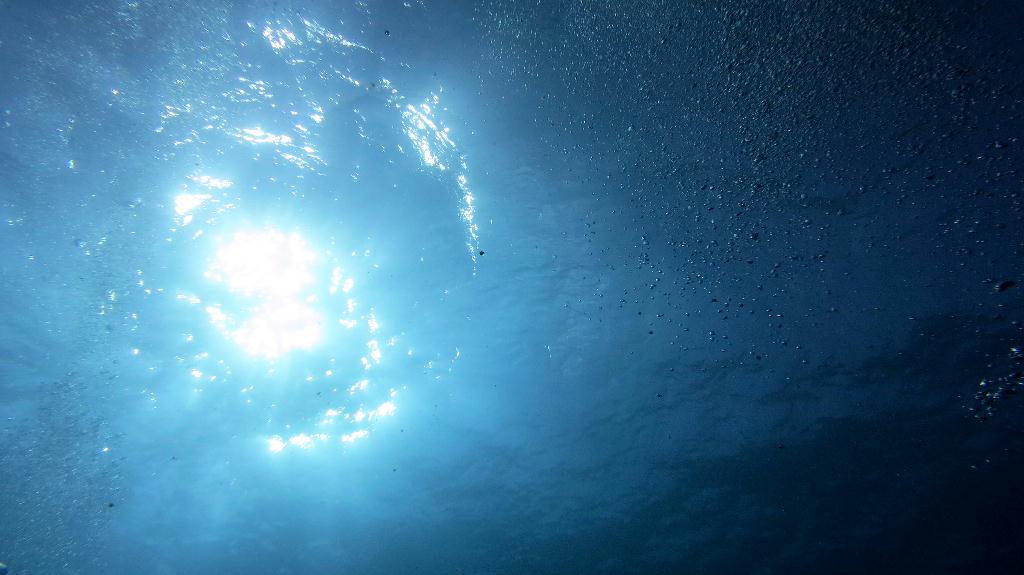 馬爾代夫 NORTH MALE - BODU HITHI THILA