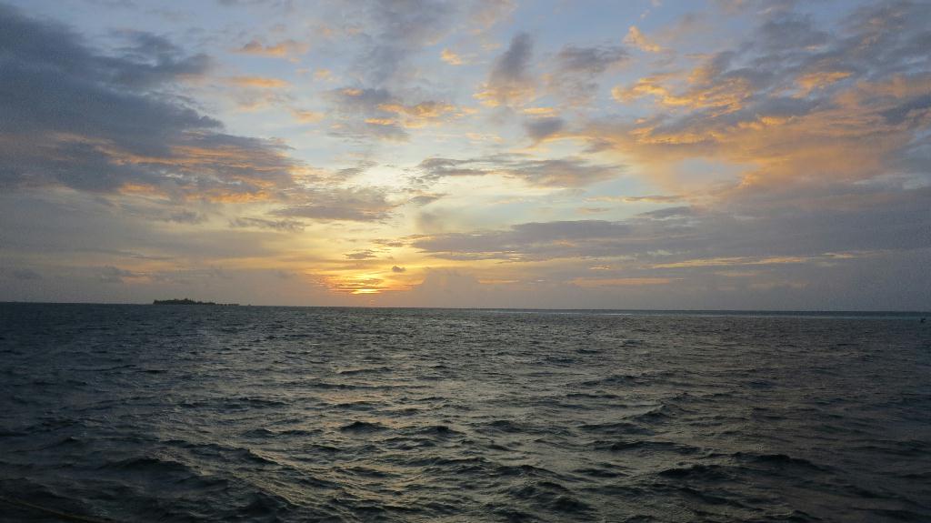 Night Dive - 馬爾代夫 NORTH ARI - MAAYA THILA