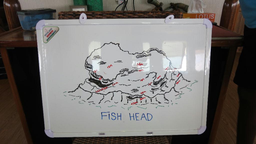 馬爾代夫 NORTH ARI  - FISH HEAD 