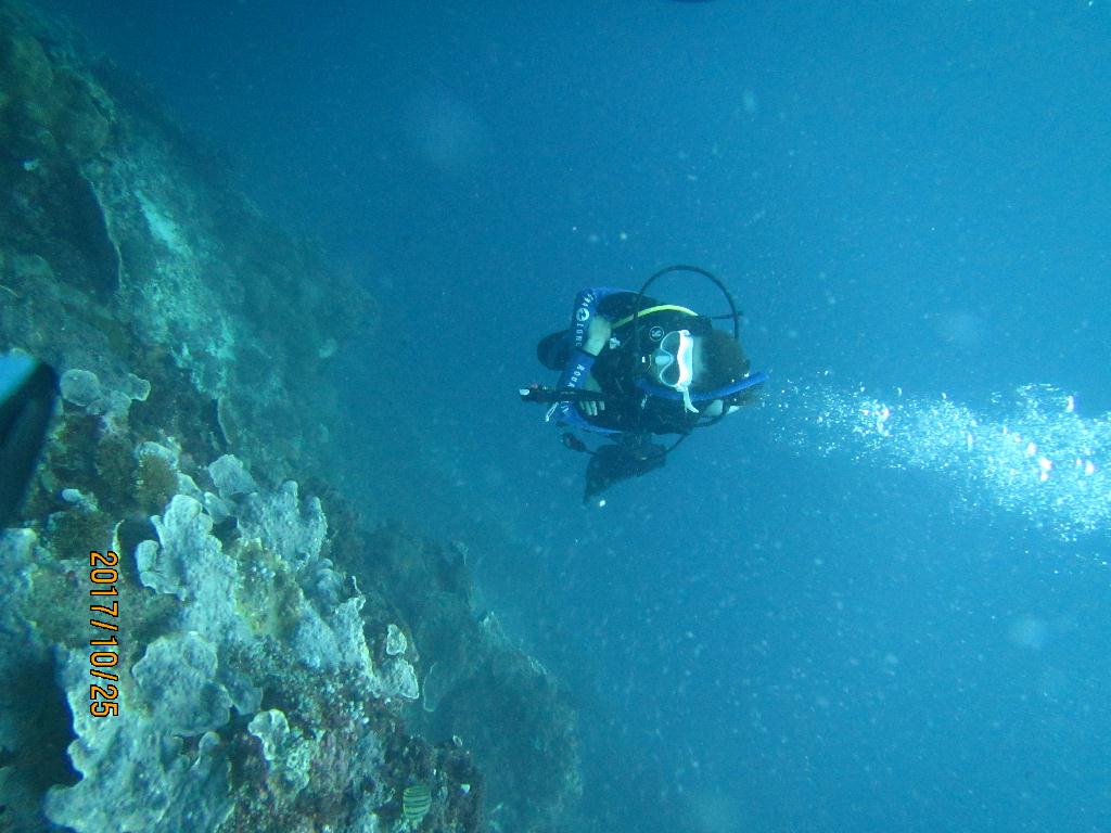 오픈워터 교육 다이빙 - 필리핀 세부 막탄 - 꼰띠끼