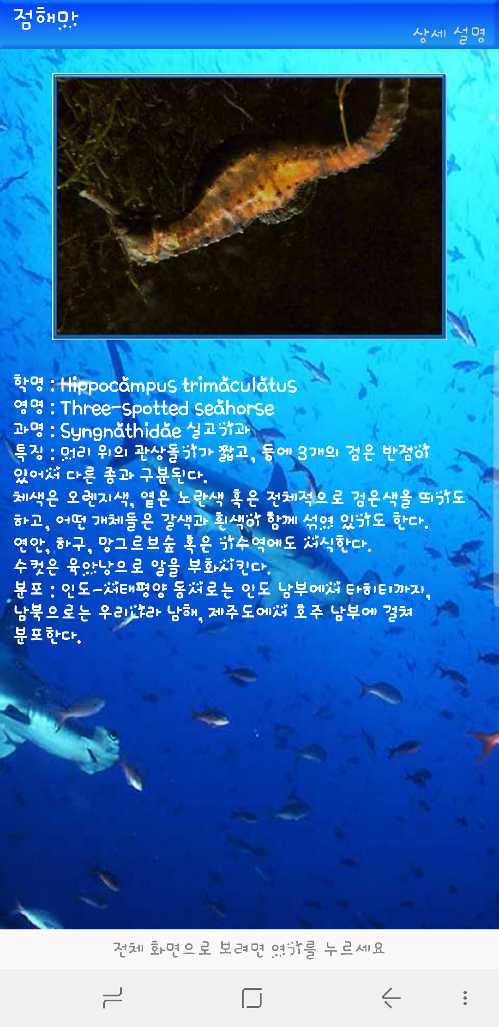 나이트 - 레이떼 day1-3
