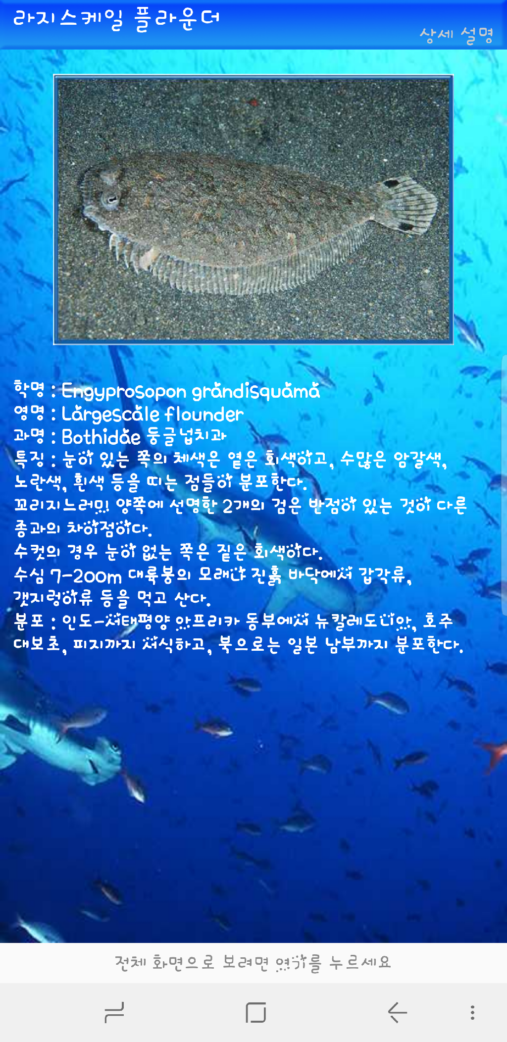 나이트 - 레이떼 day1-3