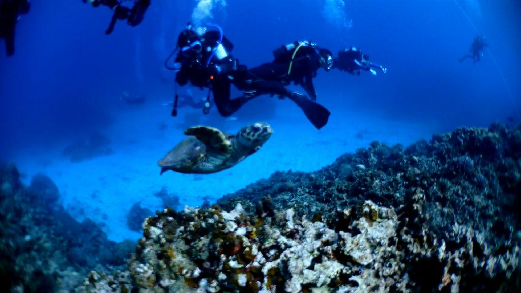 오키나와 투어 - Okinawa - Kerama Island Sand Triangle