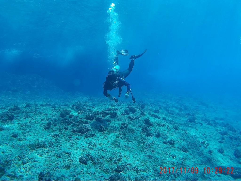 사이판 - 티니안 덤콕