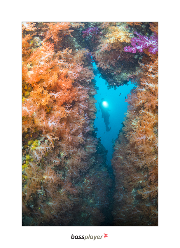 제주 블루샤크 - 외돌개