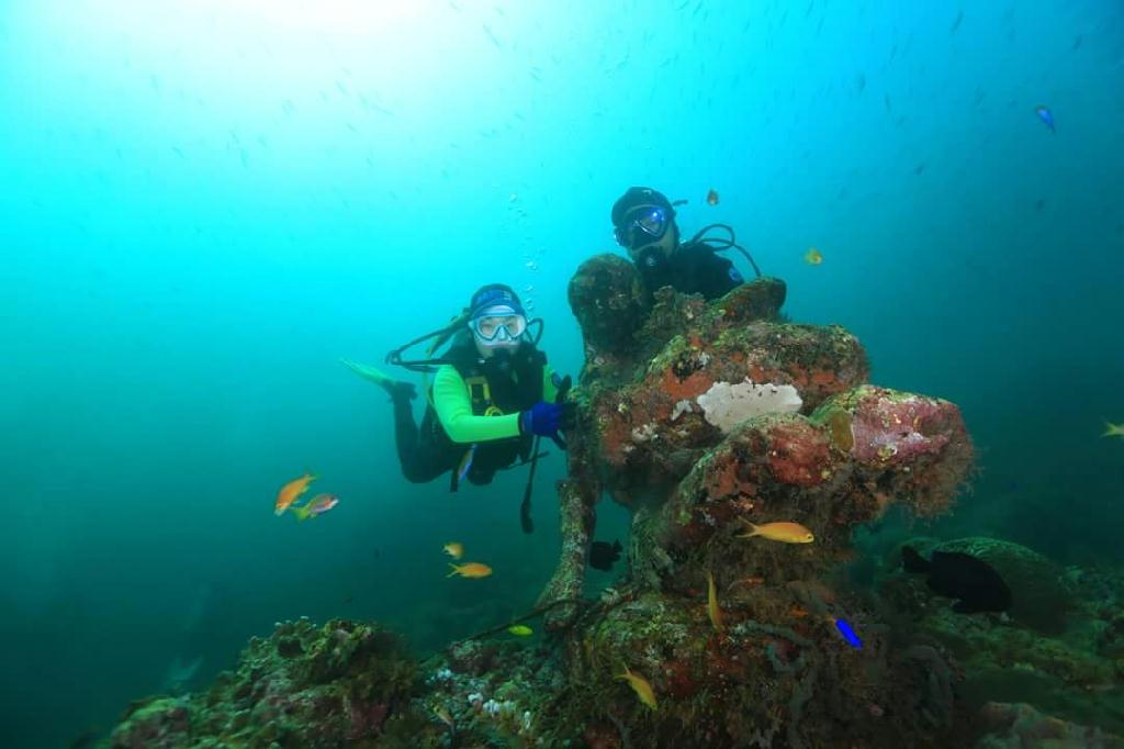 Cebu - Olango Ireland