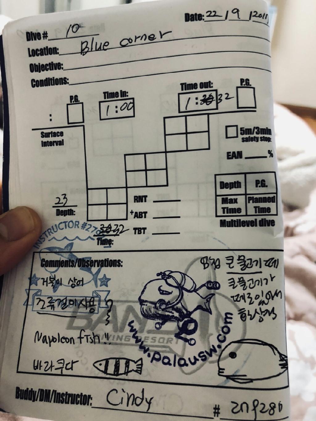 팔라우