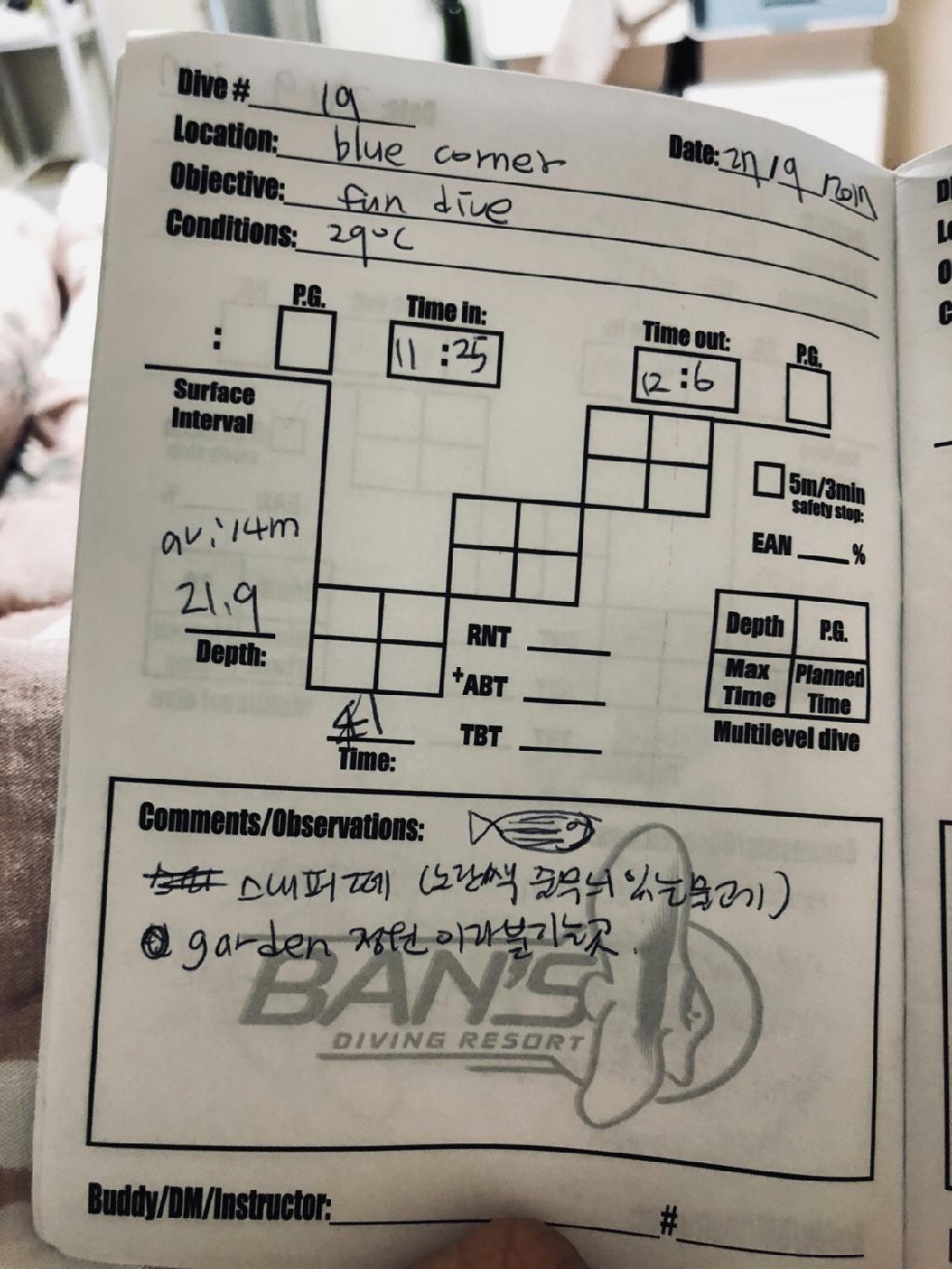 팔라우