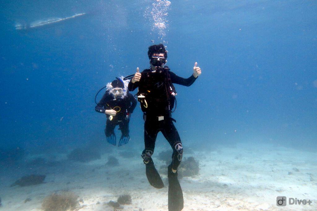 fun dive - bohol,菲律宾 - kalipayan,panglao