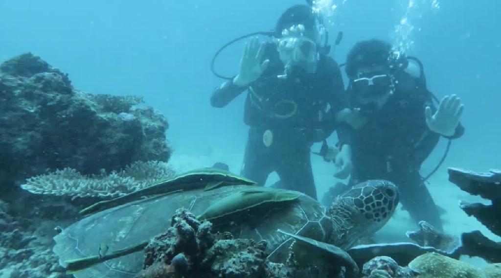 dun dive 第二潜 - bohol,菲律宾 - danao,bohol