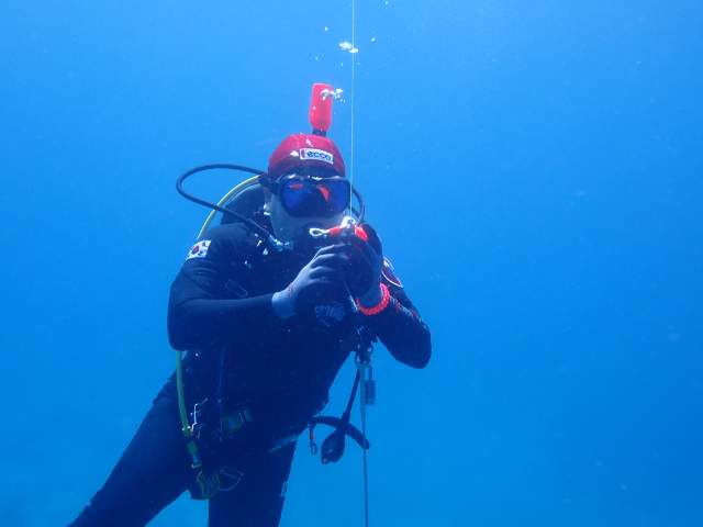 말라파스쿠아 다이빙투어 - Malapascua Johan Dive - Kalanggaman Island Wall 1