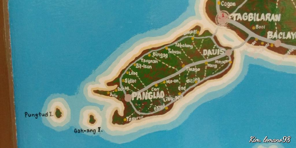 체크다이빙 - 보홀 팡글라오 - 아르꼬