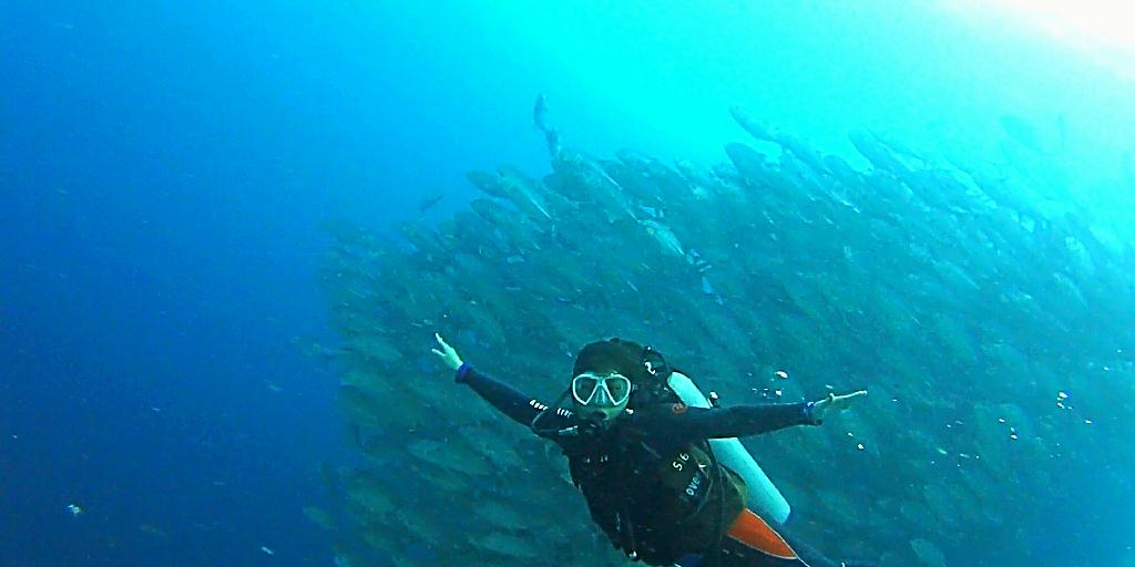 디퍼다이브 이태희강사님 - 필리핀 보홀 발리카삭 - Black coral forest