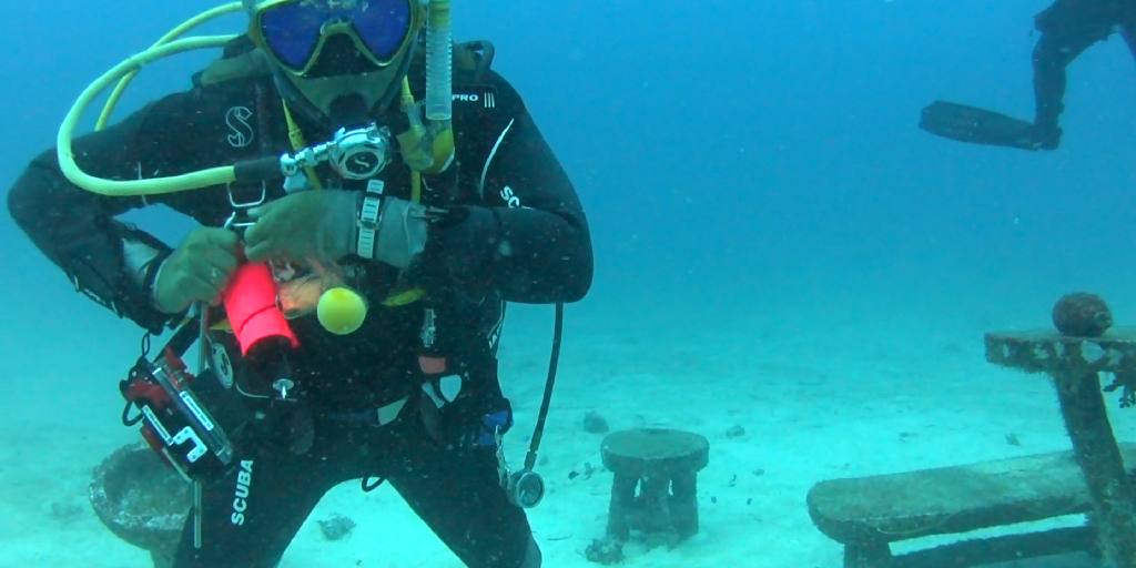 디퍼다이브 우노강사님 - 필리핀 보홀 팡라오 - 만티스