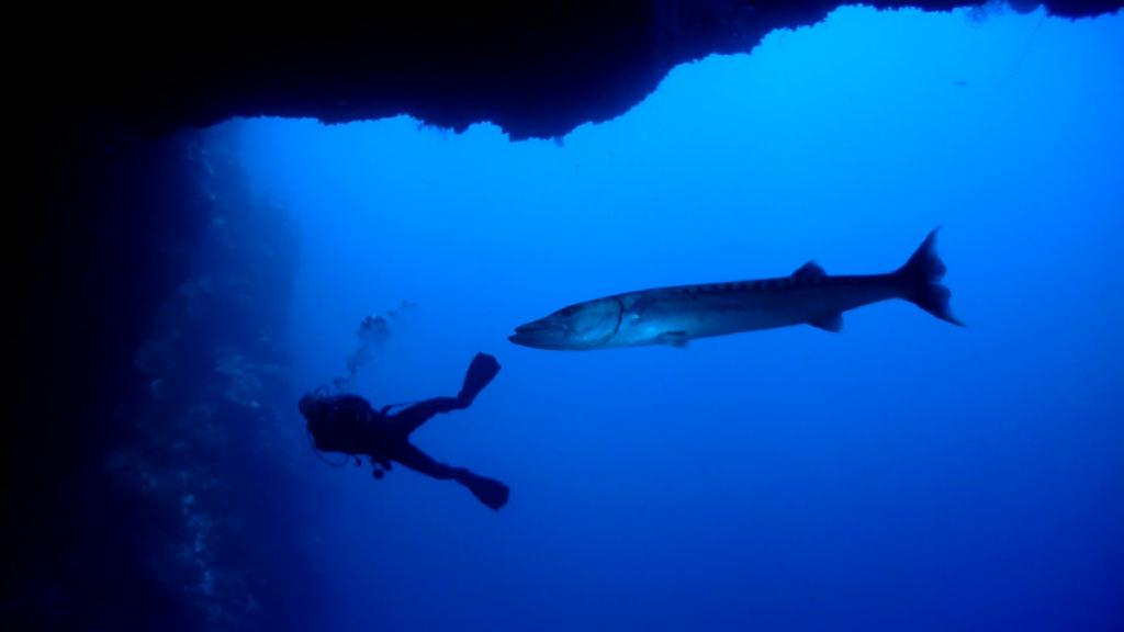 팔라우 불루홀 - PALAU Blue corner Hotel - Blue Holes