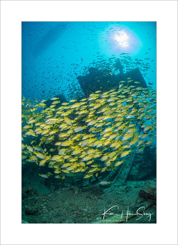 Similan Island, Thailand - Boonsung Wreck