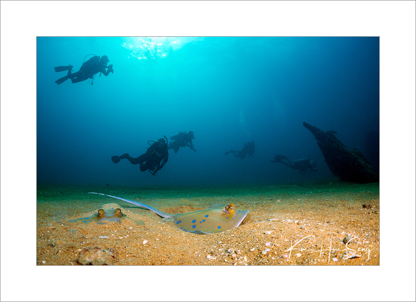 Similan Island, Thailand - Boonsung Wreck