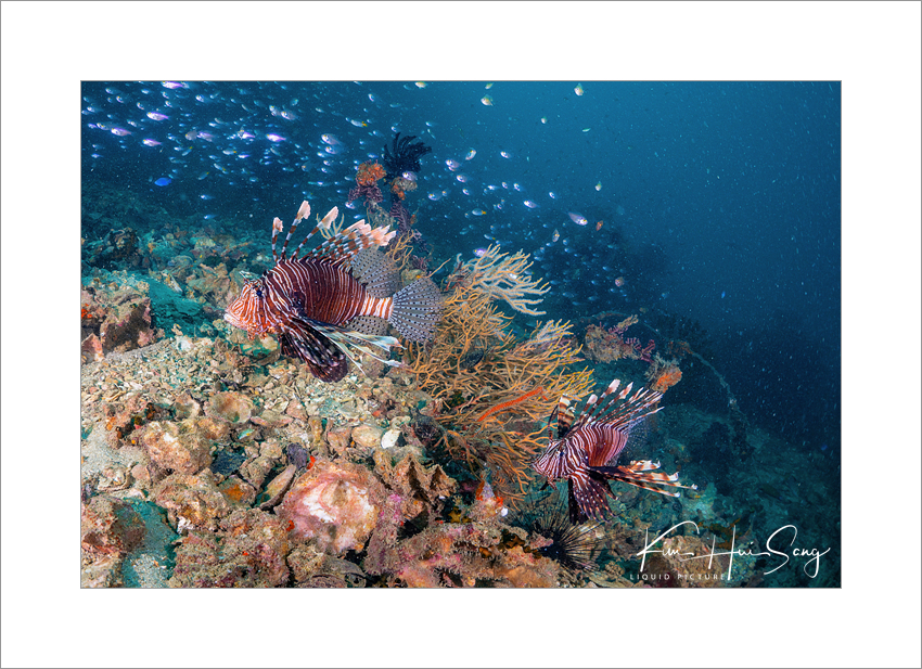 Phuket, Thauland - Koh Doc Mai