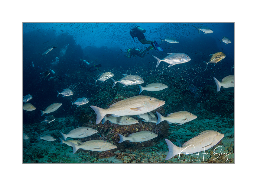 Similan Island, Thailand - Richelieu Rock