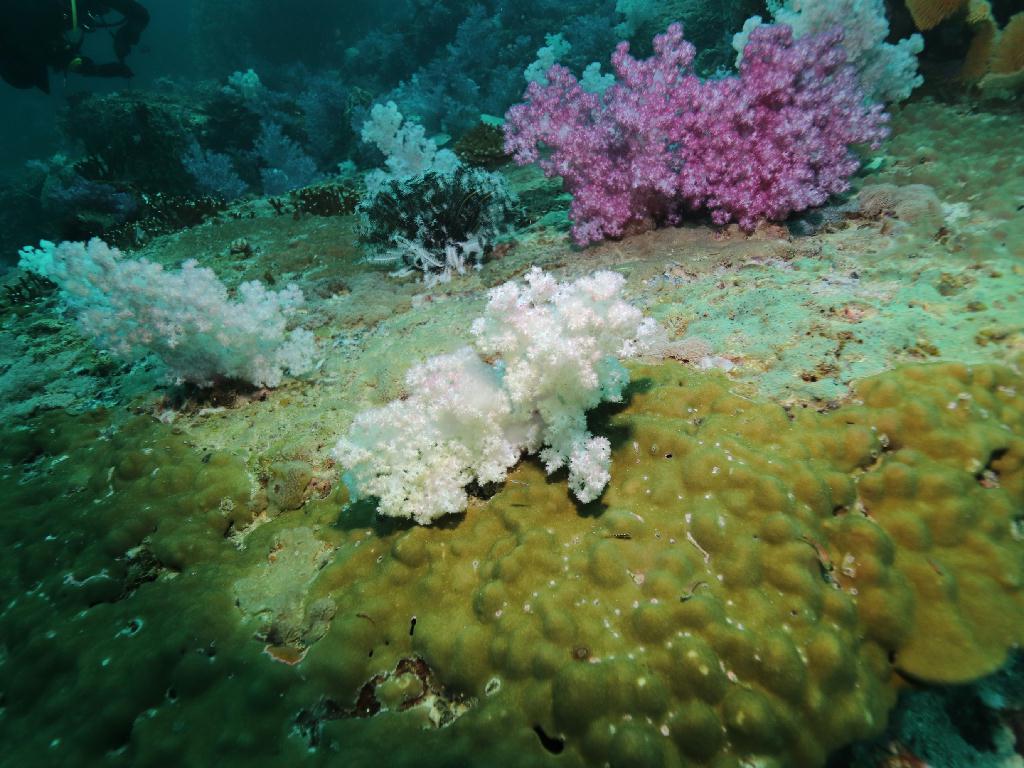 South Andaman, Thailand - Hin Muang